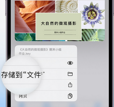 铁门关apple维修中心分享iPhone文件应用中存储和找到下载文件