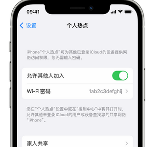 铁门关apple服务站点分享iPhone上个人热点丢失了怎么办 