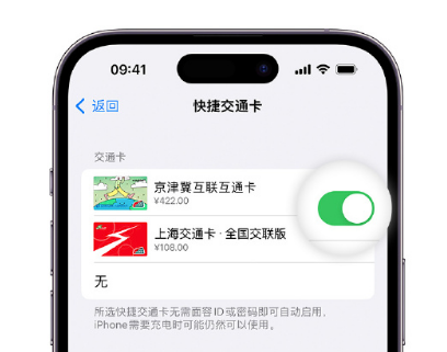 铁门关apple维修点分享iPhone上更换Apple Pay快捷交通卡手绘卡面 