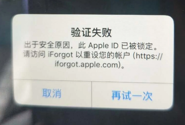 铁门关iPhone维修分享iPhone上正常登录或使用AppleID怎么办 