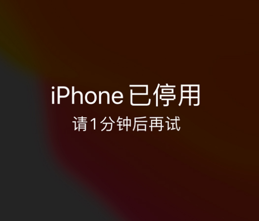 铁门关苹果手机维修分享:iPhone 显示“不可用”或“已停用”怎么办？还能保留数据吗？ 