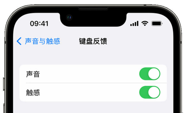 铁门关苹果手机维修分享iPhone 14触感键盘使用方法 