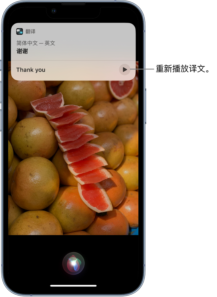 铁门关苹果14维修分享 iPhone 14 机型中使用 Siri：了解 Siri 能帮你做什么 