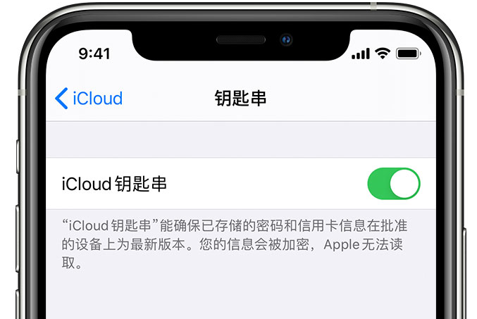 铁门关苹果手机维修分享在 iPhone 上开启 iCloud 钥匙串之后会储存哪些信息 