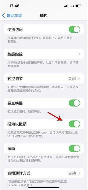 铁门关苹果手机维修分享iPhone手机如何设置摇一摇删除文字 